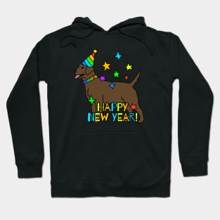 Happy New Year Hoodie